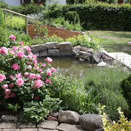 Guest house Eninger 3*